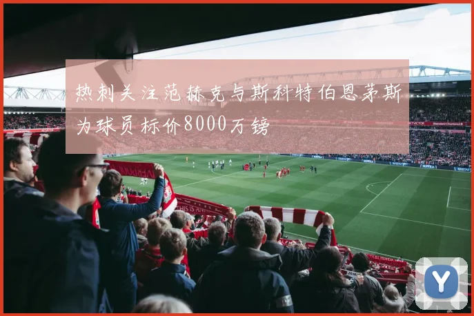 热刺关注范赫克与斯科特伯恩茅斯为球员标价8000万镑