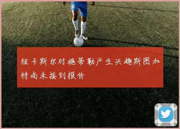 纽卡斯尔对施蒂勒产生兴趣斯图加特尚未接到报价