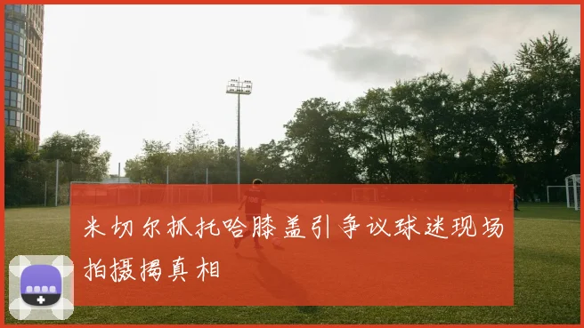 米切尔抓托哈膝盖引争议球迷现场拍摄揭真相
