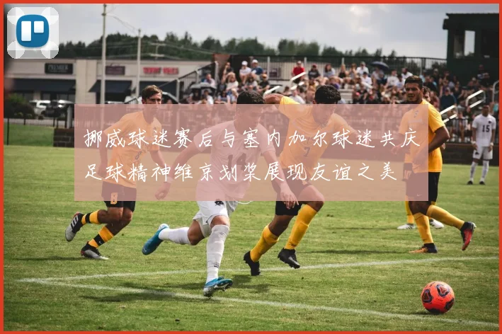 挪威球迷赛后与塞内加尔球迷共庆足球精神维京划桨展现友谊之美