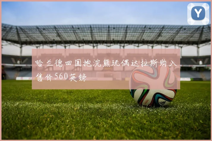 哈兰德回国抱浣熊玩偶达拉斯购入售价560英镑