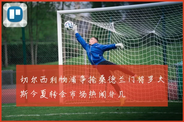 切尔西利物浦争抢桑德兰门将罗夫斯今夏转会市场热闹非凡