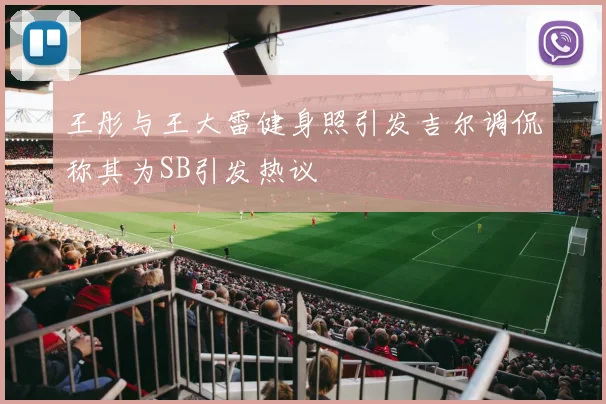 王彤与王大雷健身照引发吉尔调侃称其为SB引发热议